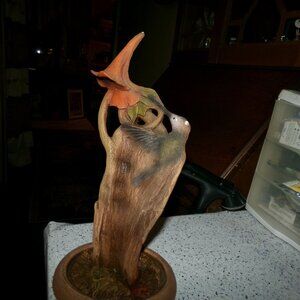 art by Cain humming bird called blossom